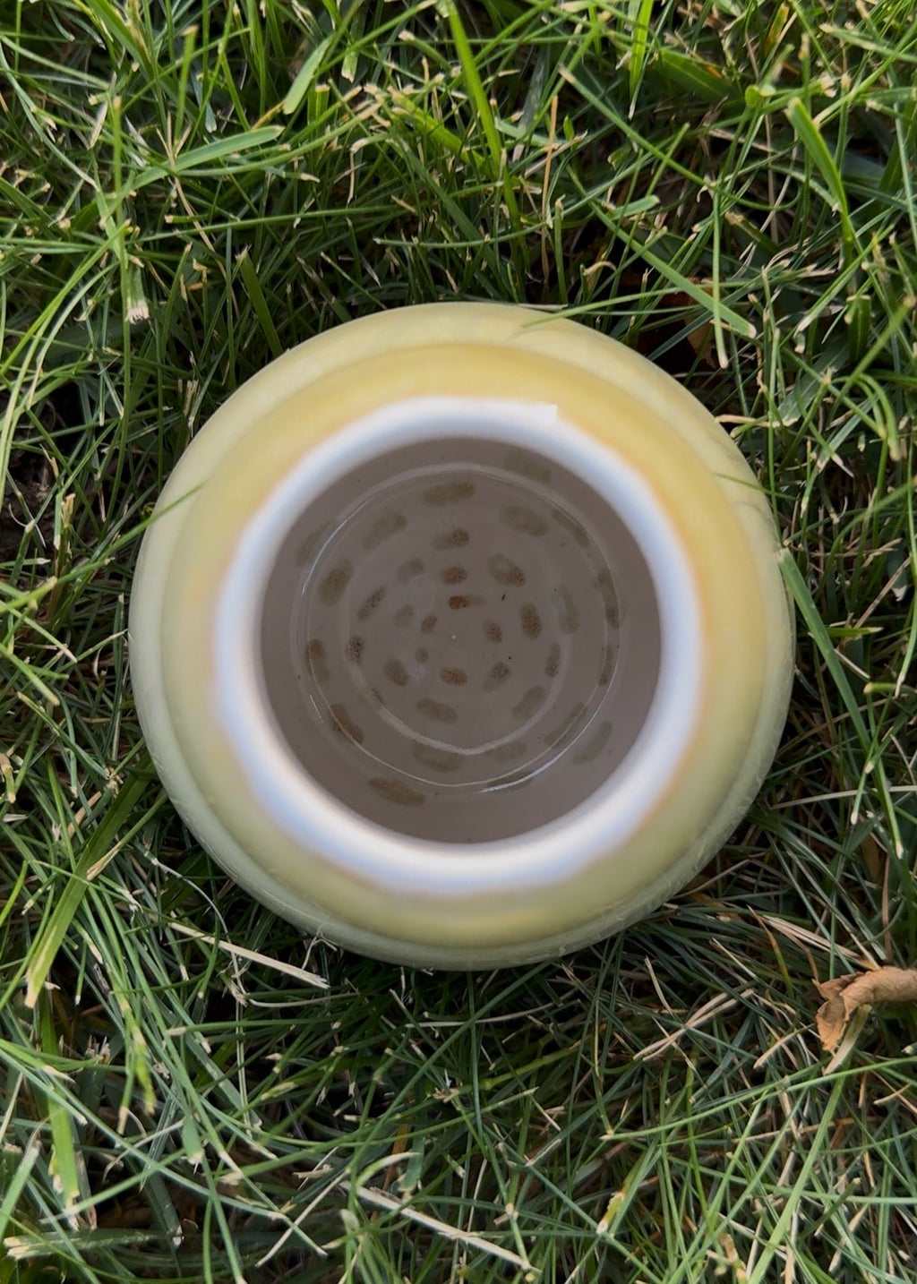 Calabash Melon