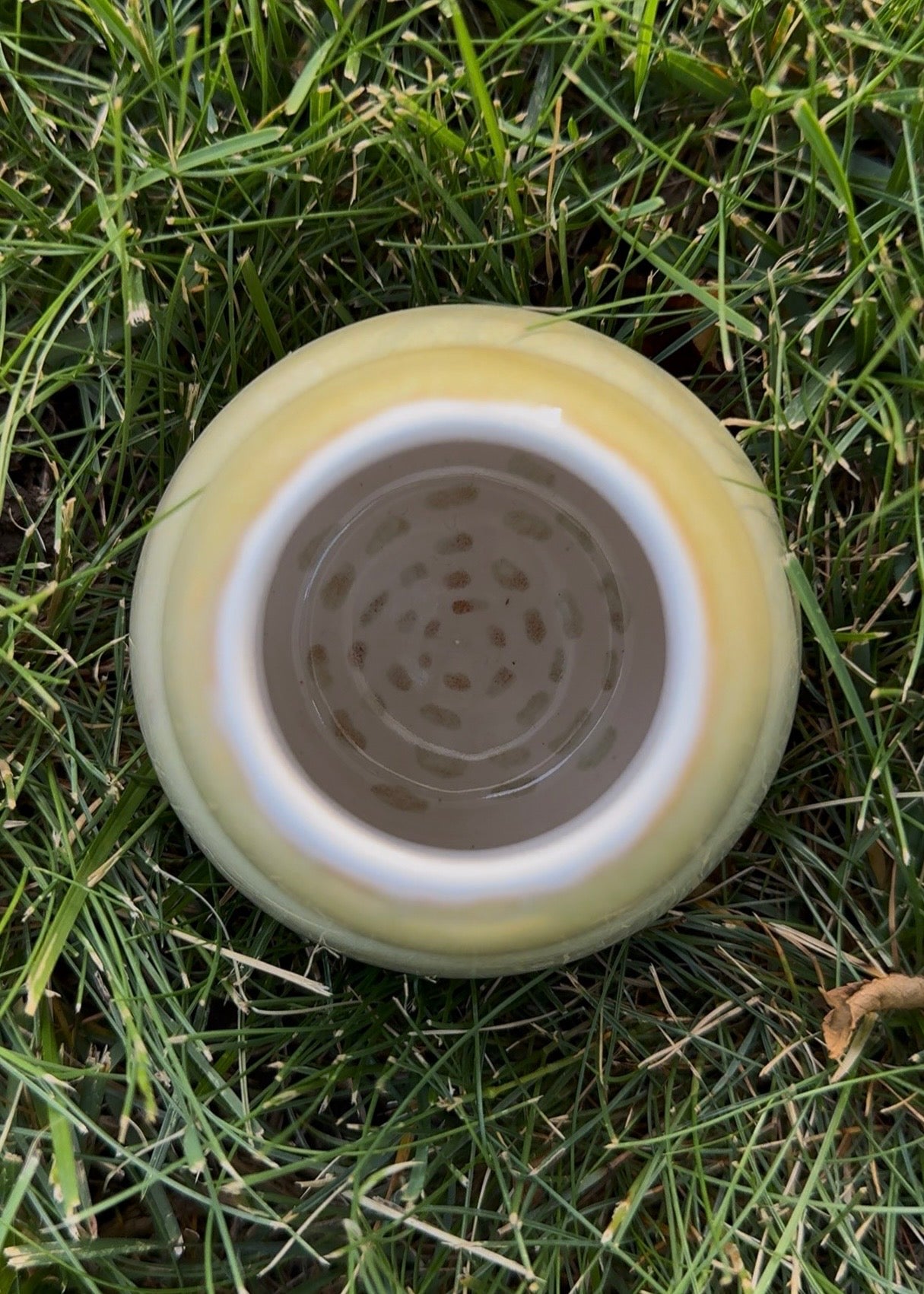 Calabash Melon