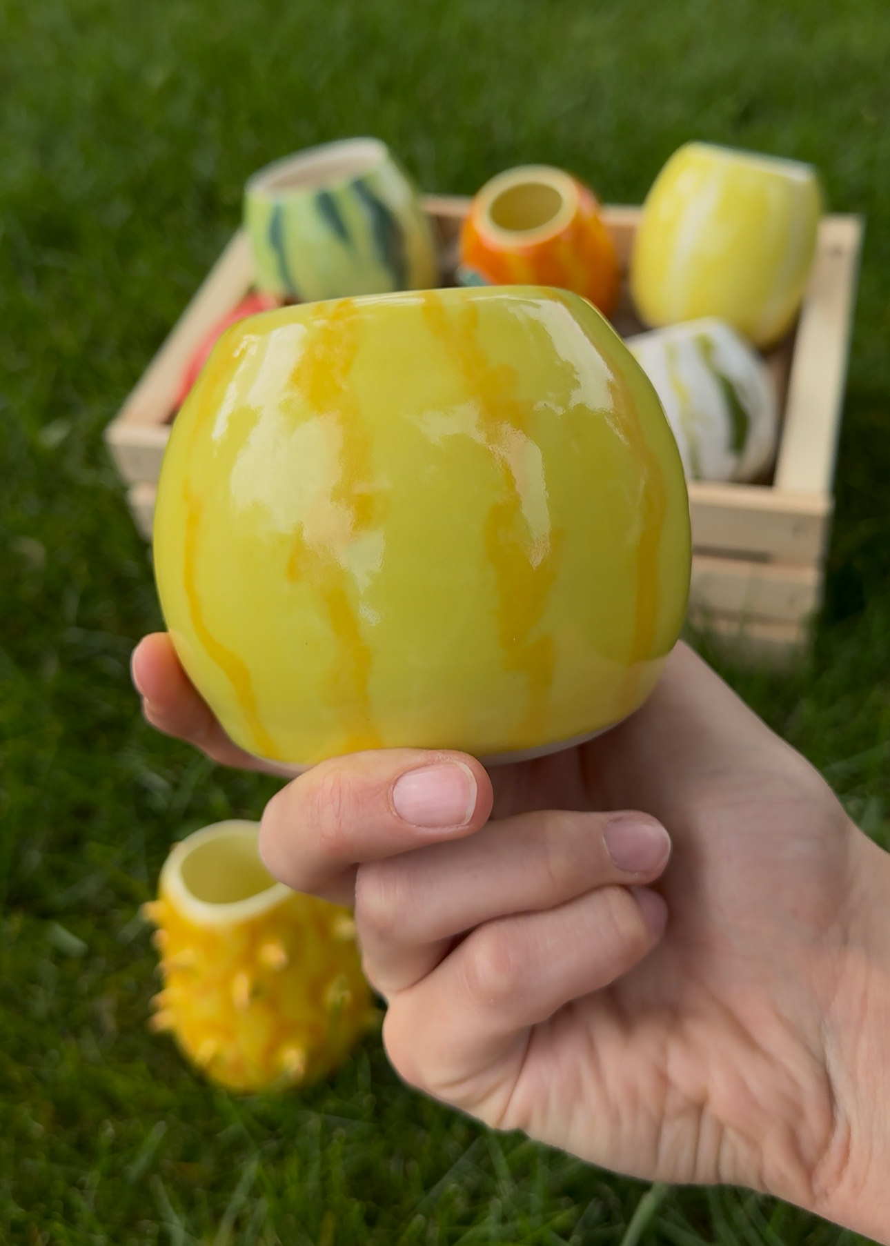 Yellow Watermelon