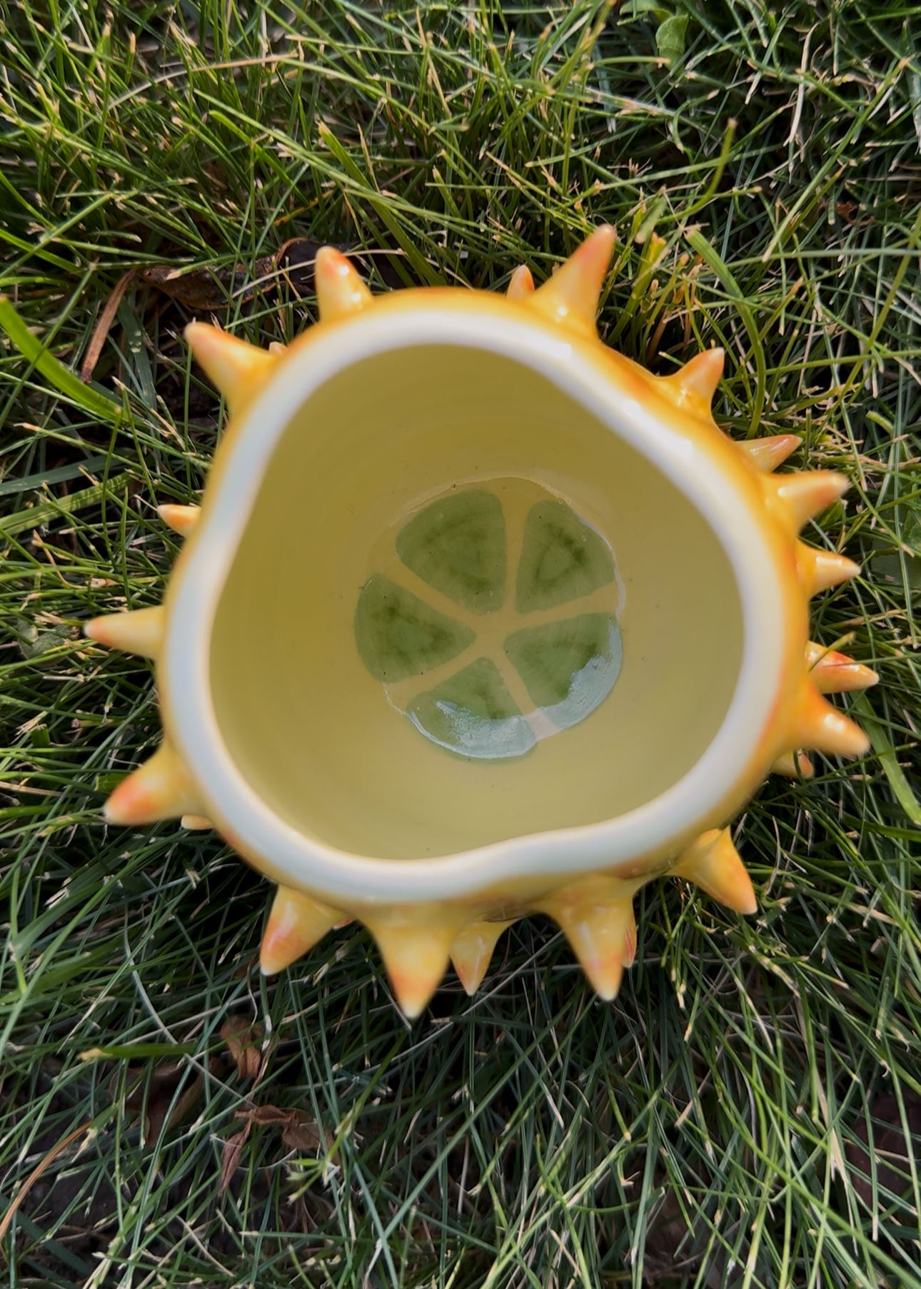 Horned Melon