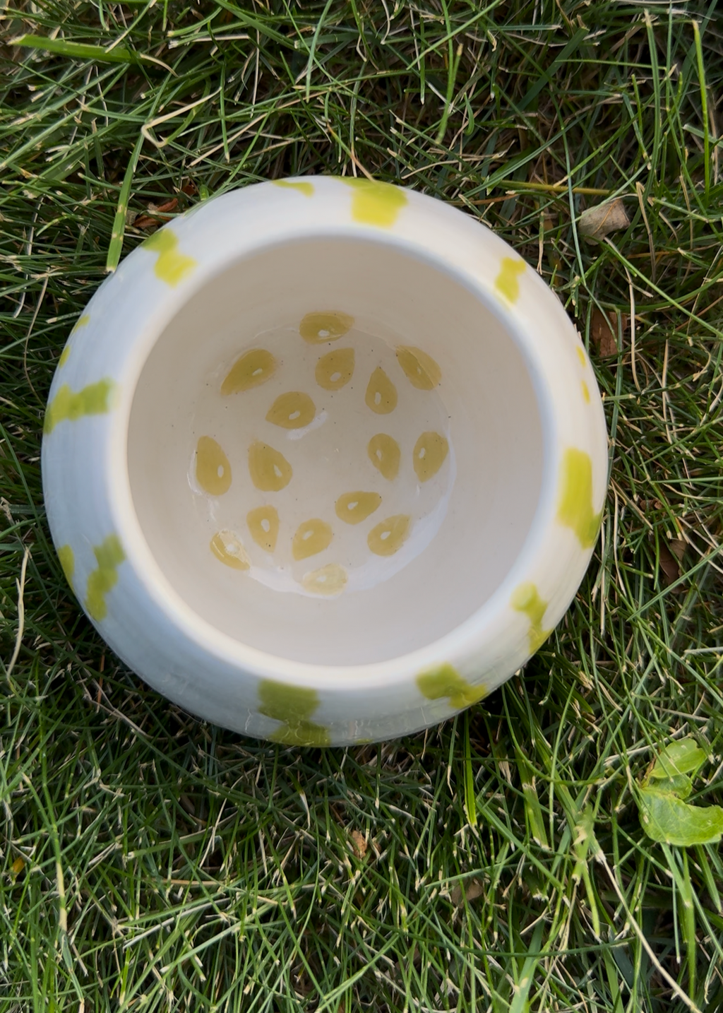 Picasso Melon