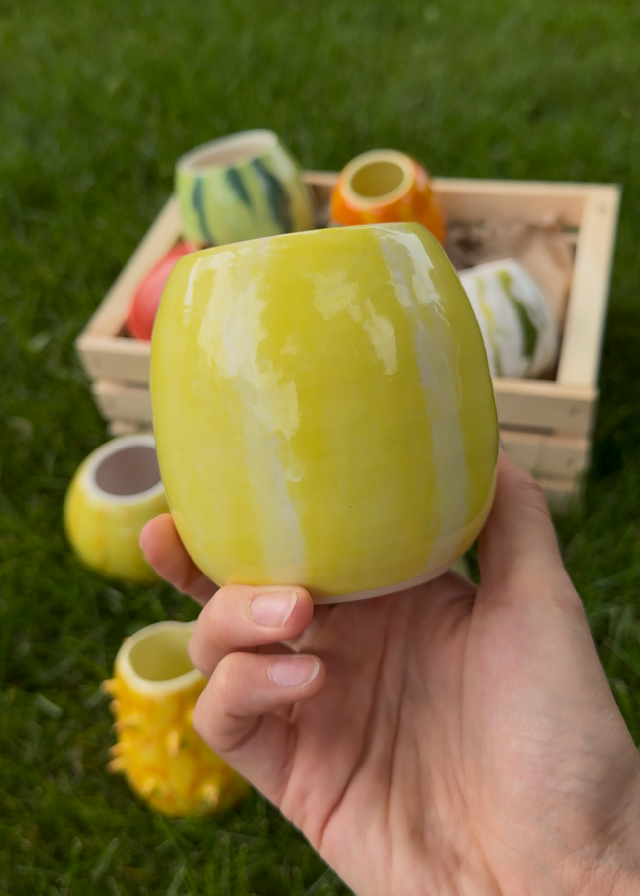 Canary Melon