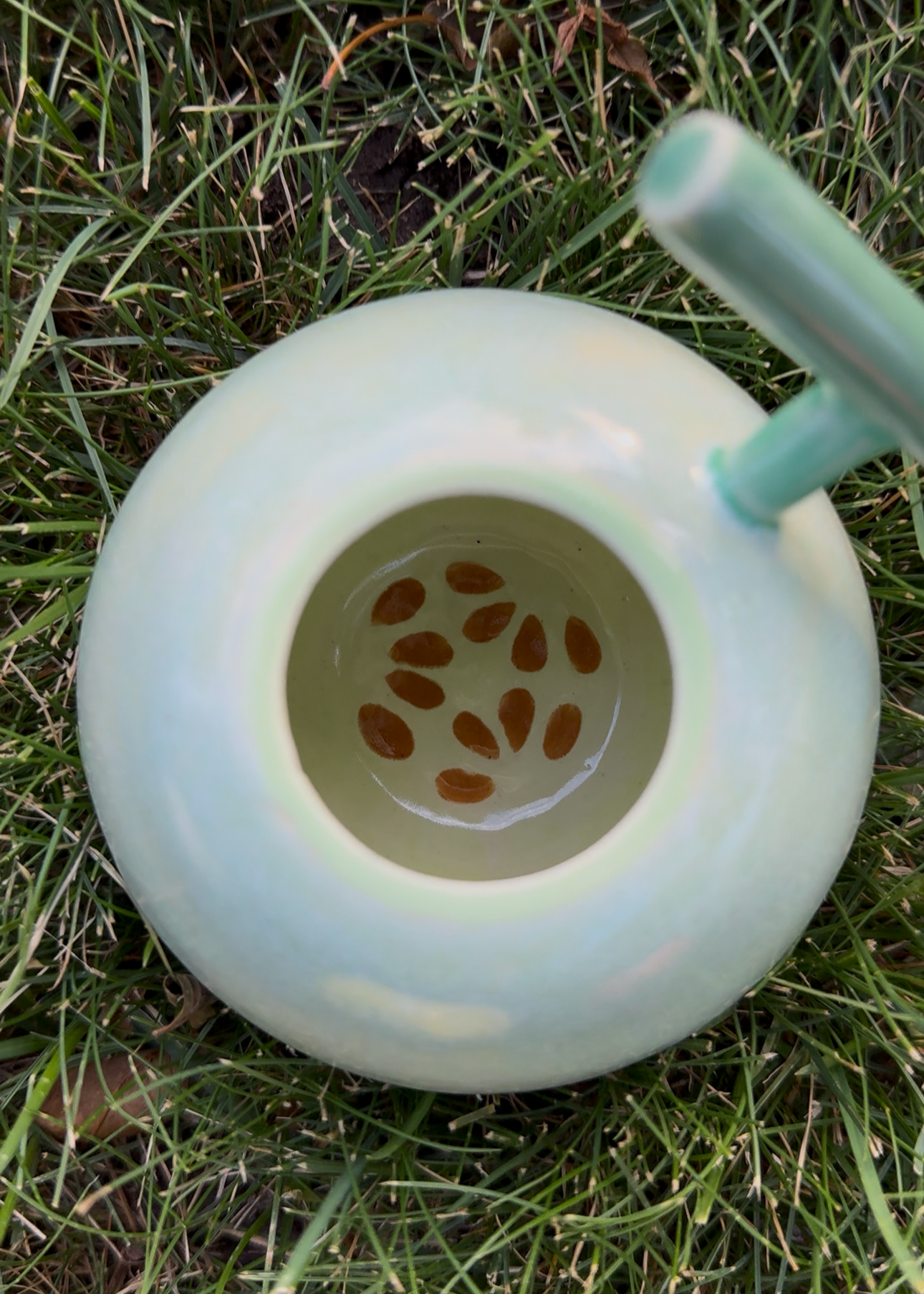 Honeydew Melon